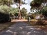 Camping Oléron Saint Tro'Park, 4* - 41