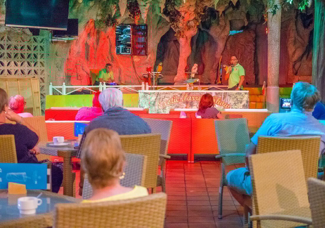 Hôtel Checkin Bungalows Atlantida 3* - 18