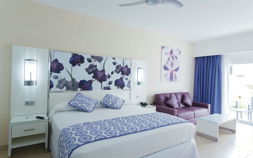 Hôtel Riu Playacar 5* - 3