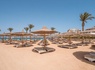 Le Nil en Bleu et Seagull Beach Resort 4* - 9