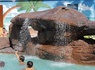 Camping Les Salisses, 4* - 100