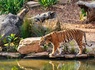 Aventurez-vous au ZooSafari de Thoiry le temps d'un week-end - 4* - 17