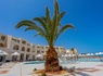 Club Framissima Premium Telemaque Beach & Spa 4* - 18