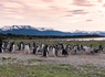 Croisière en Patagonie et Terre de Feu - 7
