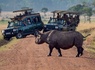 Périple au coeur des terres africaines, Namibie, Botswana, Zimbabwe - 8
