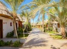 Ôclub Experience Panorama Bungalows Resort El Gouna 4* - 3