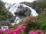 Flower Camping La Bexanelle, 4* - 28
