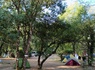Camping Ludo Parc Pausado, 3* - 17