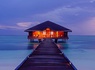 Hôtel Medhufushi Island Resort 4* - 19