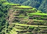 Couleurs Philippines + extension Visayas - 6