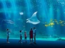 Séjour familial avec entrée à l'Aquarium Nausicaa - 3* - 1