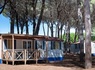 Camping Pineta sul Mare, 3* - 102