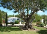 Camping L'Orangeraie - Camping Paradis, 3* - 29
