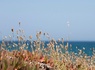 Camping Miramar - 7
