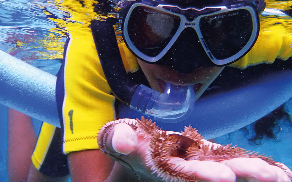 Circuit Guadeloupe : 5 Iles - 5 Ambiances - 13