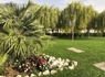 Belvedere Village - 41