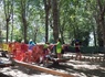 Camping Punta Navaccia, 3* - 52