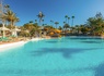 Combiné circuit et hôtel Charmes et nature de Grande Canarie + Extension Framissima Abora Interclub Atlantic 4* - 12