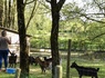 Camping Paradis - Domaine de Bellevue, 4* - 77