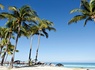 CUBA | La Havane & Varadero - Casa Particular & Starfish Cuatro Palmas 4* - Adult Only (+16) - 15