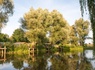Camping Sites et Paysages - L'Etang de Brissac, 4* - 26