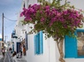 Combiné Athènes / Mykonos / Paros - 5
