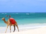 Circuit Regard sur le Kenya, le grand safari et plage de Diani - 3