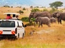 Circuit Safari au coeur des grands parcs du Kenya - 10