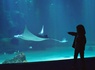 Séjour familial avec entrée à l'Aquarium Nausicaa - 3* - 22