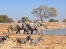 Splendeurs de Namibie & Extension Chobe & Chutes Victoria 15J/12N - 2025 - 24
