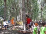 Camping Punta Navaccia, 3* - 55