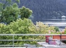 Escapade détente et dîner unique dans un 4* sur les rives du lac de Gérardmer - 4* - 7