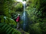 Circuit Ode verte à Madère Randonnées au fil des levadas et des forêts mystiques **** - 4