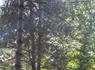 Camping des Grottes, 4* - 70
