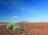 Circuit Visage de Namibie - 16