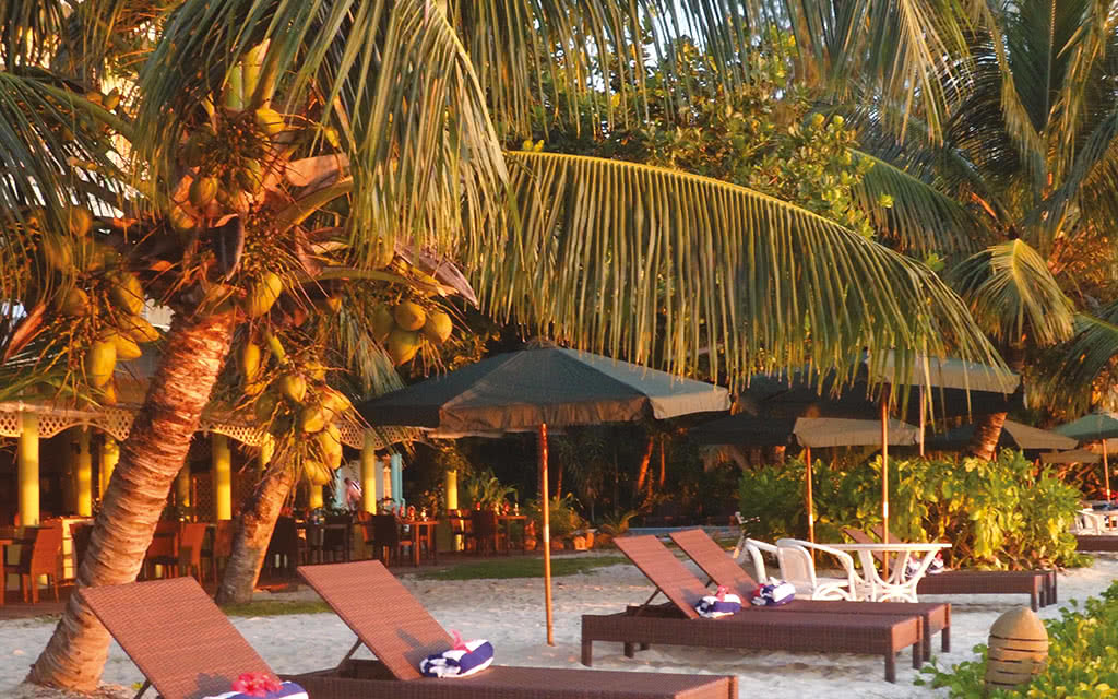 Hôtel Palm Beach 2* - 5