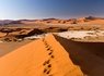 Road Trip Dunes et désert namibiens - 2