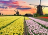 Visitez le Keukenhof coloré et profitez d'un séjour confortable à Amsterdam - 4* - 1