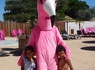 Camping Flamants Roses 4* - 29