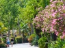 Camping Les Salisses, 4* - 80