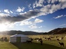 Mongolie, terre nomade - 5