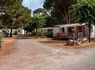 Camping Oléron Saint Tro'Park, 4* - 25
