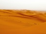 Circuit Au fil des oasis et des dunes : voyage au Maroc ancestral - 18