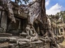 Circuit Privatif Cambodge, des temples d'Angkor à Kep - 30