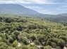 Camping le Domaine de Chanteraine, 3* - 52