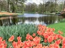 Nuitée, balade à vélo et dîner à Amsterdam avec accès au Keukenhof - 4* - 1