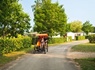 Camping Siblu Domaine de Dugny 4* - 85