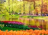 Séjour moderne à La Haye, à seulement 30 minutes de Keukenhof - 4* - 1
