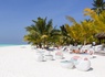 Hôtel Meeru Island 4* - 25