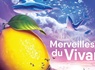Emplacement idéal pour profiter du carnaval de Nice et la fête du citron à Menton - 3* - 15
